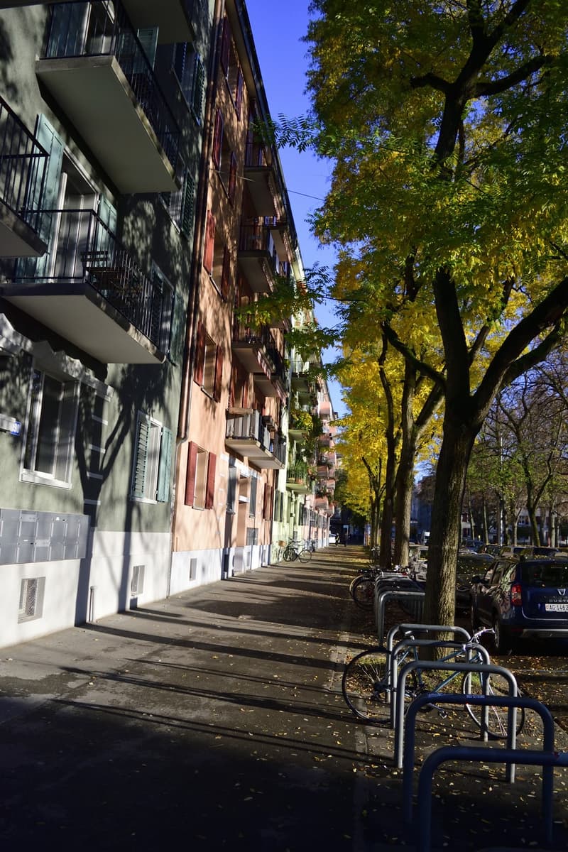 3.5 Zimmer Suterrain direkt an der Josefwiese (12)