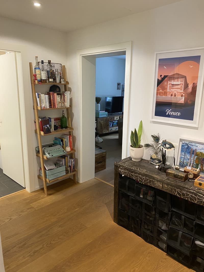 3.5 Zimmer Suterrain direkt an der Josefwiese (5)