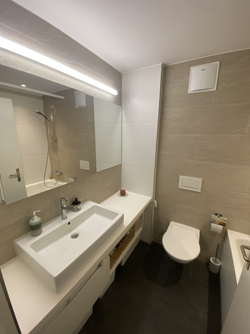 3.5 Zimmer Suterrain direkt an der Josefwiese (8)