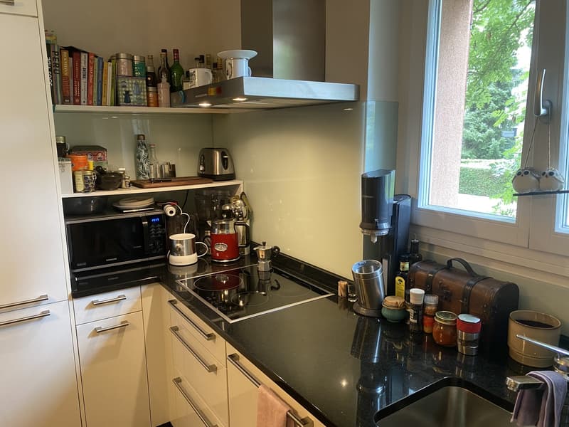 3.5 Zimmer Suterrain direkt an der Josefwiese (3)
