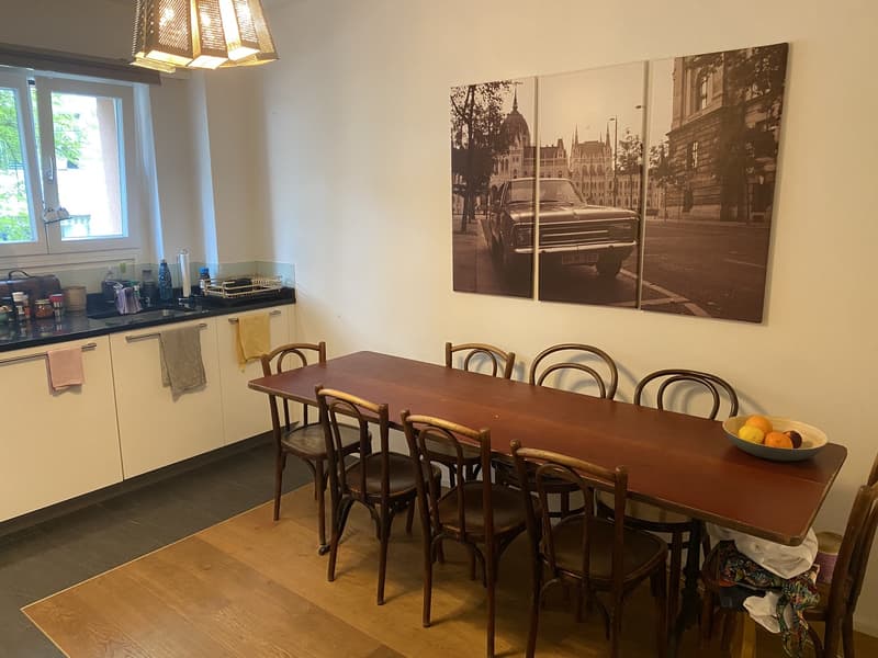 3.5 Zimmer Suterrain direkt an der Josefwiese (2)