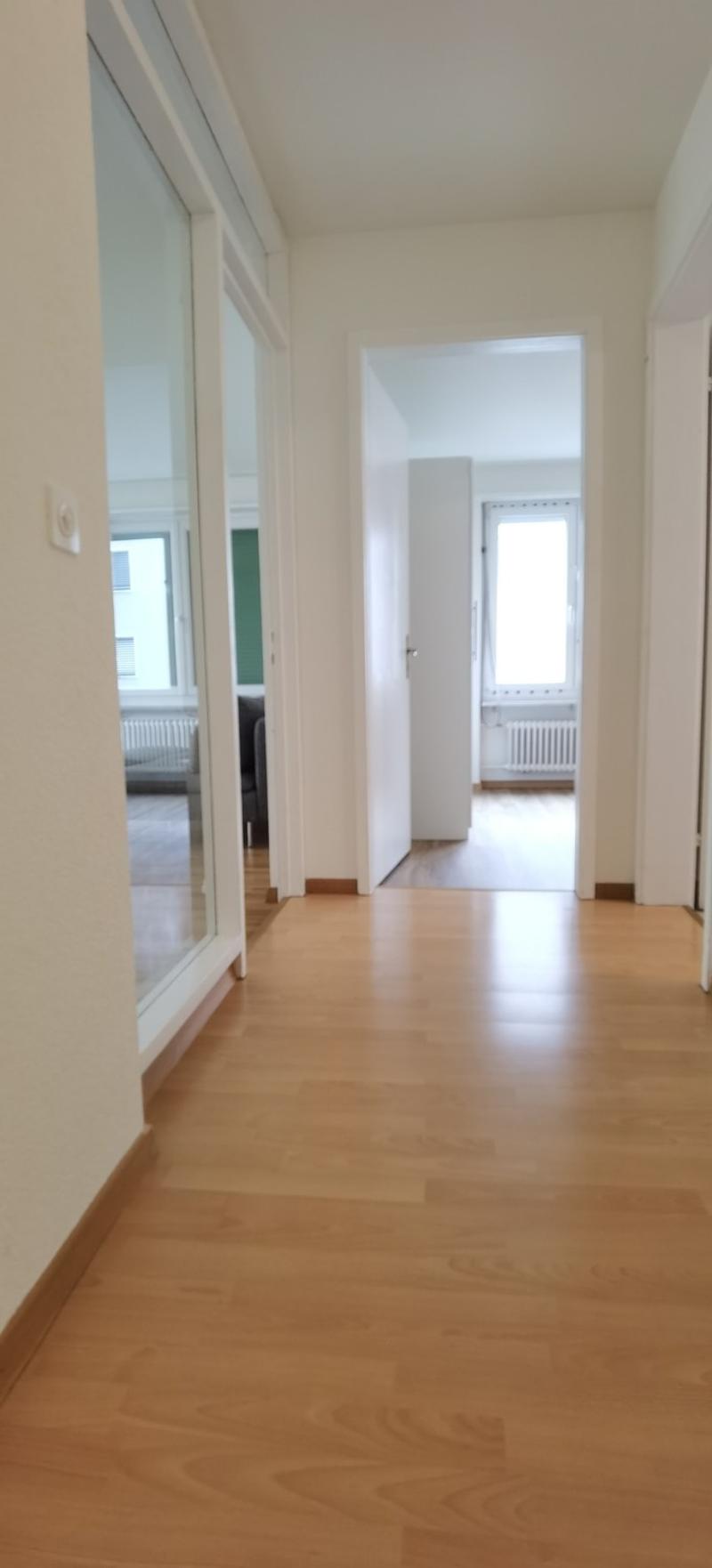 Quiet Space in Heart of Zurich (4)
