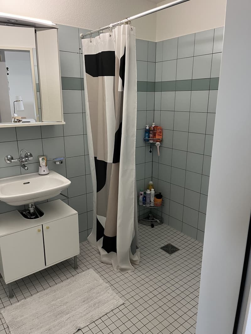 Helle 2,5-Zimmer-Wohnung im Parterre - Nachmieter gesucht (6)