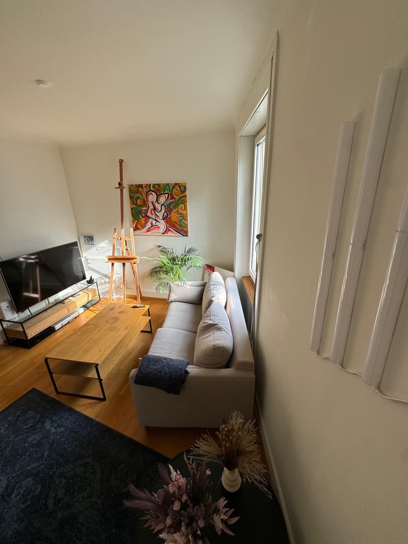 Zurich Enge | Cozy Rooms for Rent (1)