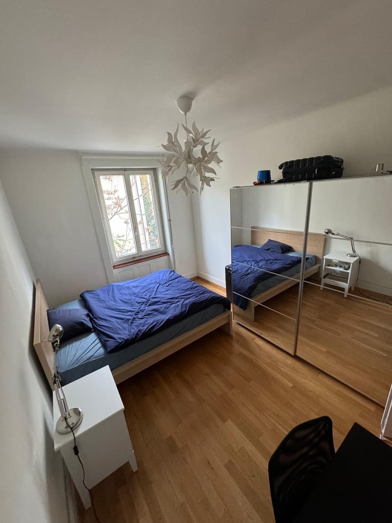Zurich Enge | Cozy Rooms for Rent (4)