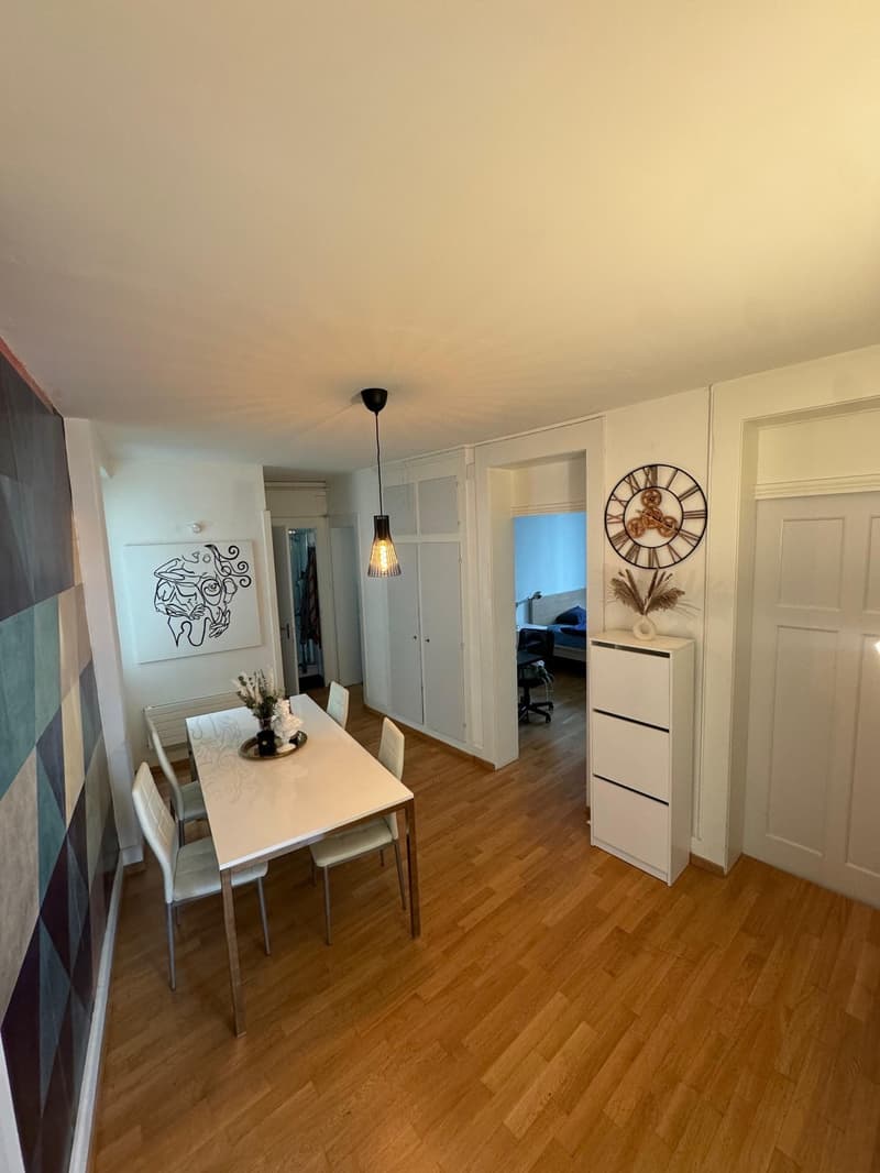 Zurich Enge | Cozy Rooms for Rent (3)