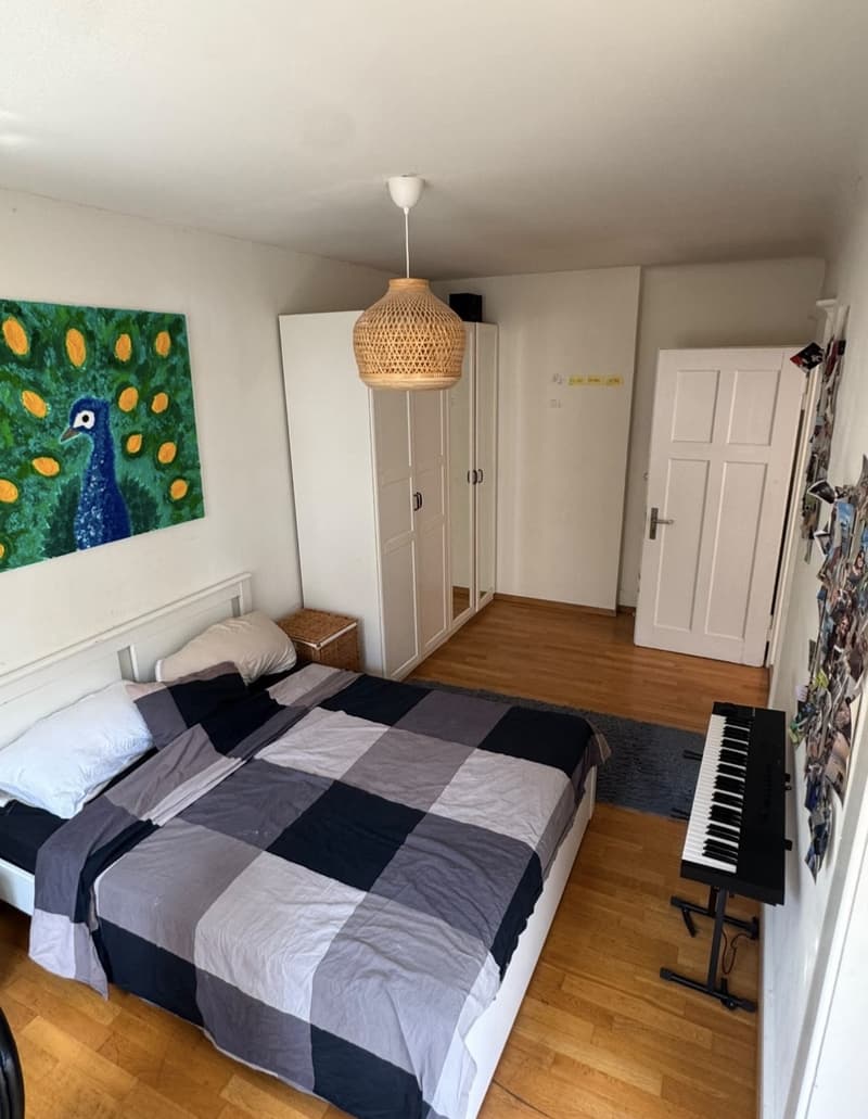 Zurich Enge | Cozy Rooms for Rent (5)