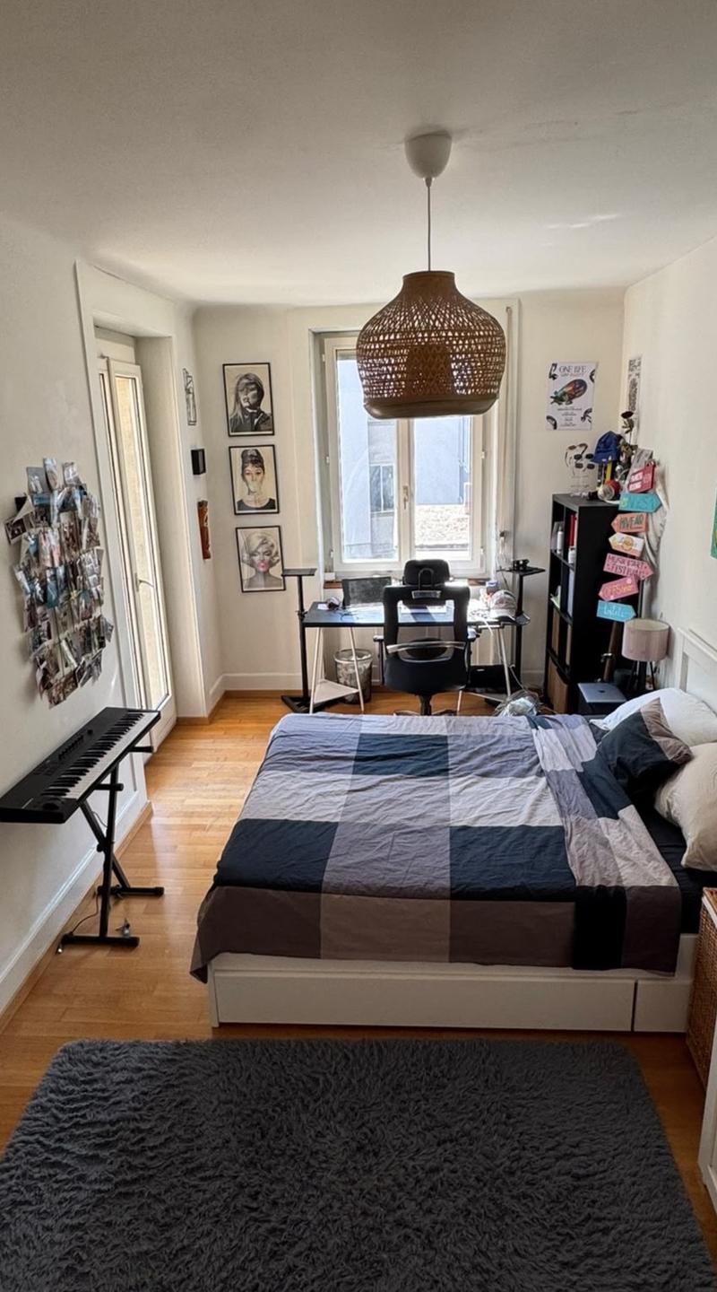 Zurich Enge | Cozy Rooms for Rent (6)