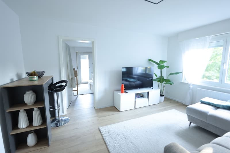 Appartement lumineux à Romont FR (3)