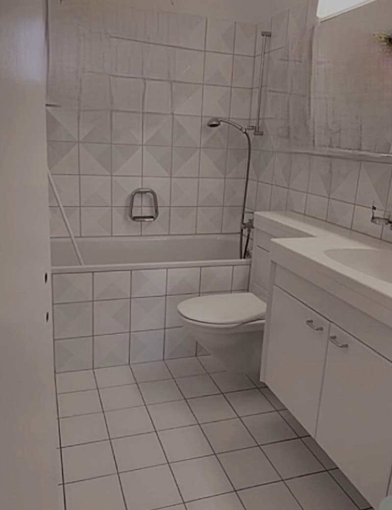 Helle 3- Zimmer Wohnung zu vermieten (6)