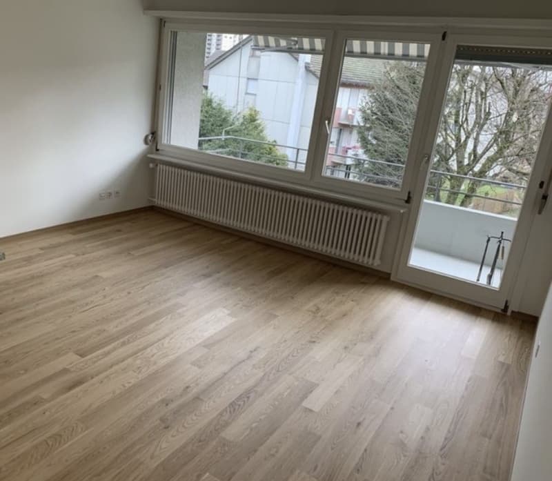 Helle 3- Zimmer Wohnung zu vermieten (1)