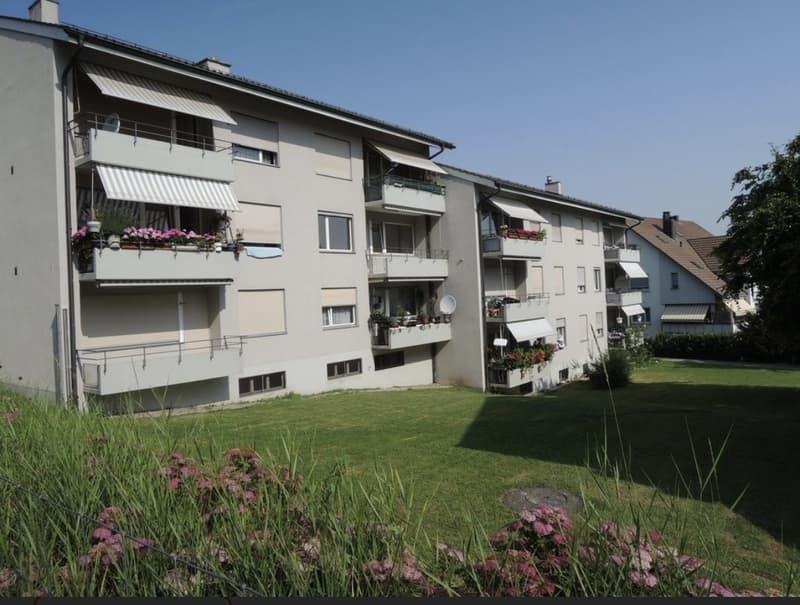 Helle 3- Zimmer Wohnung zu vermieten (9)