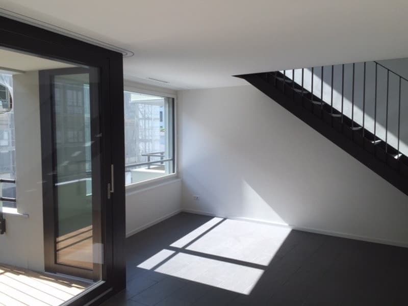 Modern Duplex Apartment with Balcony in Sihlcity area (1)