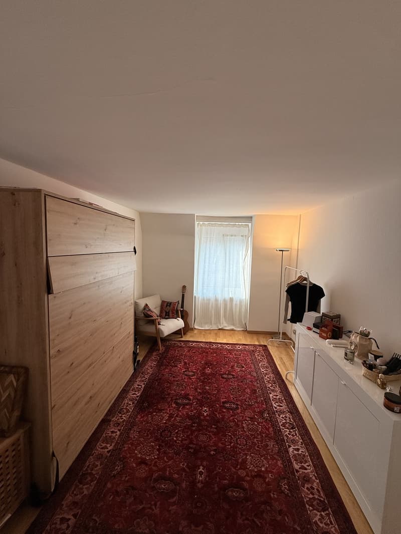 2-Week Sublet- Sunlit & Ultra-Spacious Apartment (3)