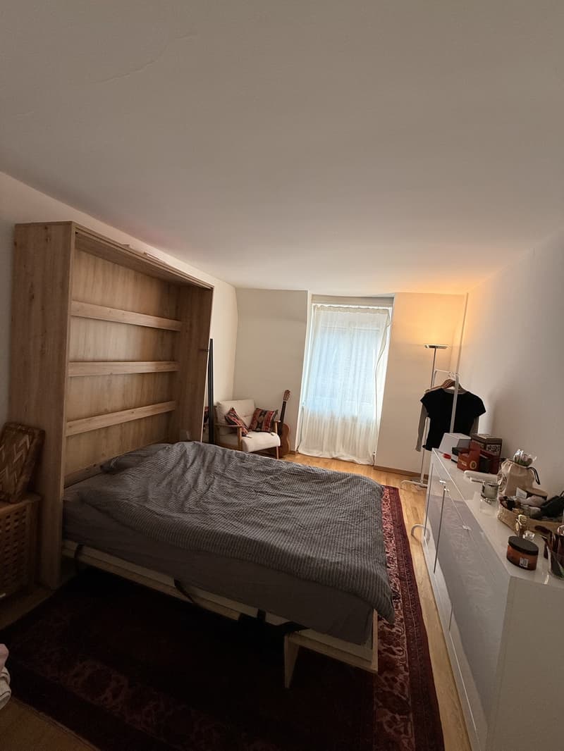2-Week Sublet- Sunlit & Ultra-Spacious Apartment (2)