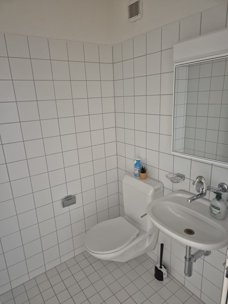 möbliertes Zimmer in Zürich-Altstetten (5)