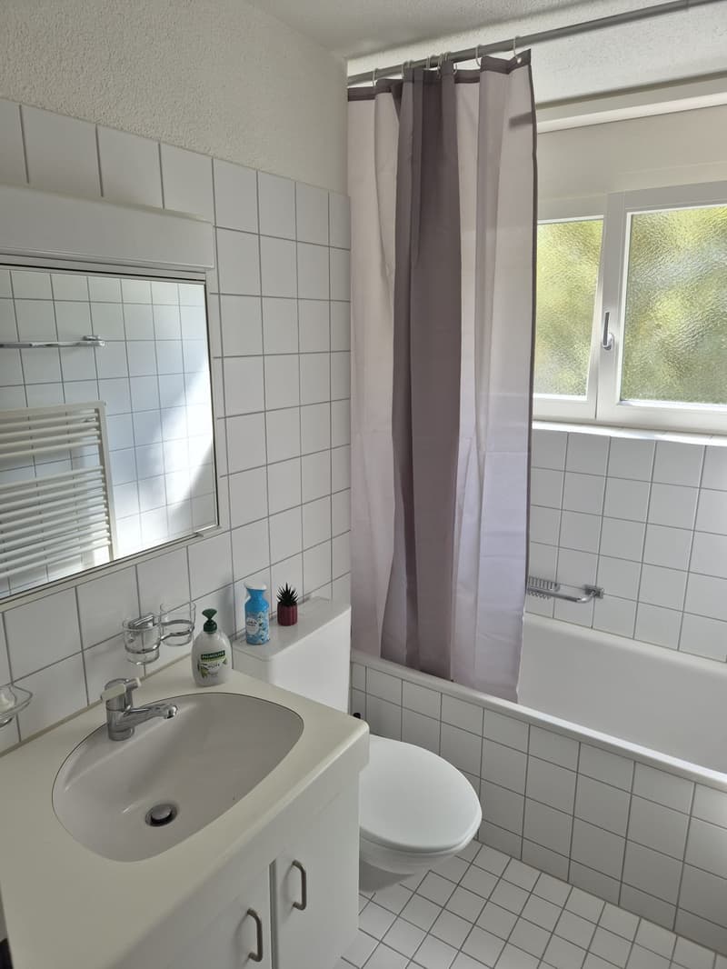 möbliertes Zimmer in Zürich-Altstetten (4)