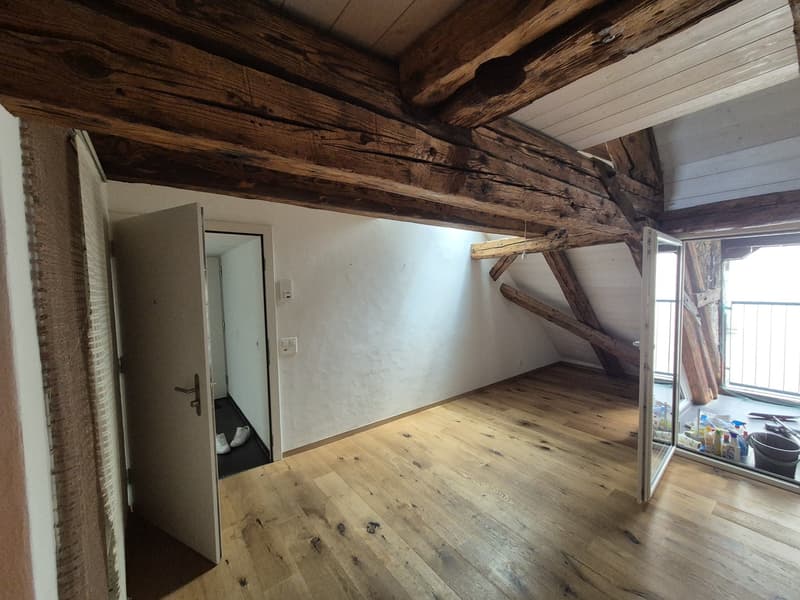 Top Wohnung über den Dächern von der Altstadt Schaffhausen (2)