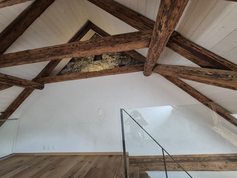 Top Wohnung über den Dächern von der Altstadt Schaffhausen (6)