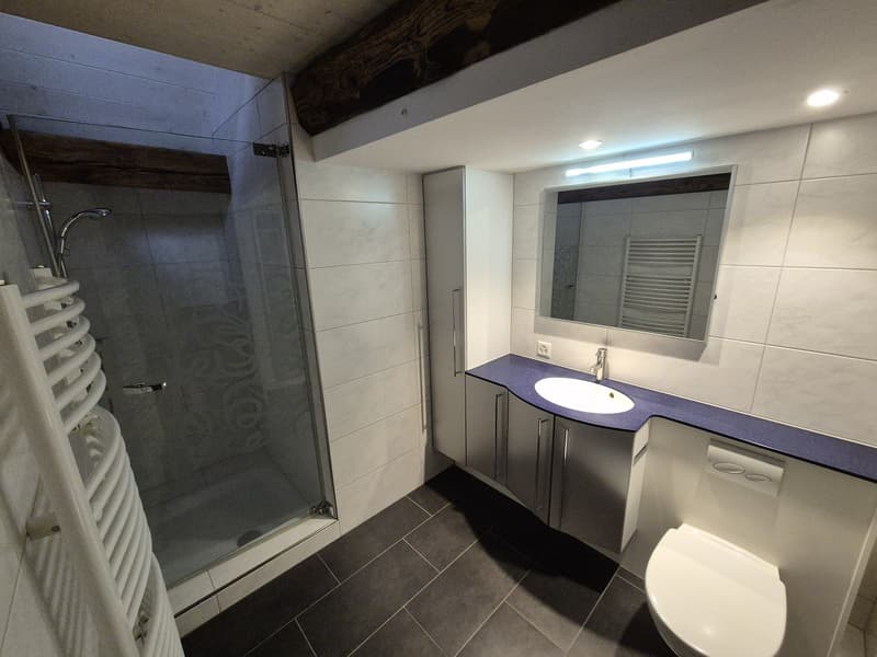 Top Wohnung über den Dächern von der Altstadt Schaffhausen (8)