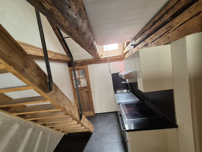Top Wohnung über den Dächern von der Altstadt Schaffhausen (4)