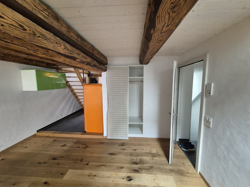Top Wohnung über den Dächern von der Altstadt Schaffhausen (3)