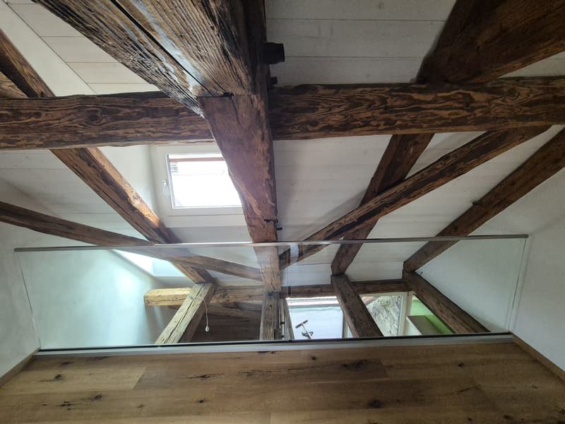 Top Wohnung über den Dächern von der Altstadt Schaffhausen (7)