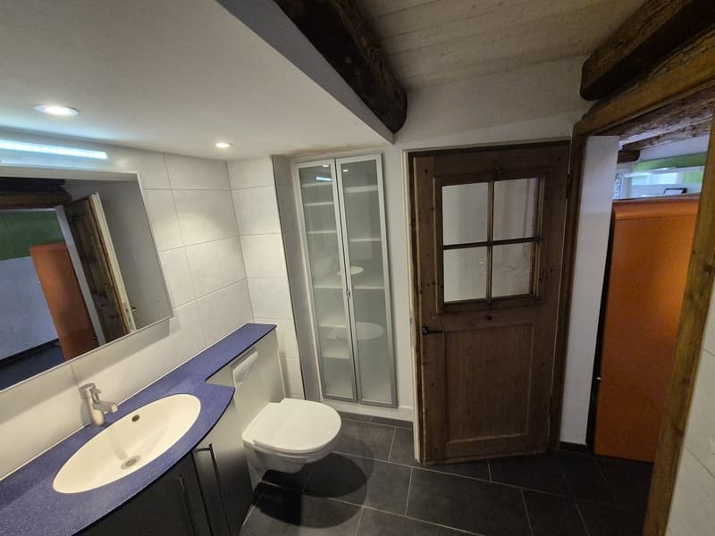 Top Wohnung über den Dächern von der Altstadt Schaffhausen (9)