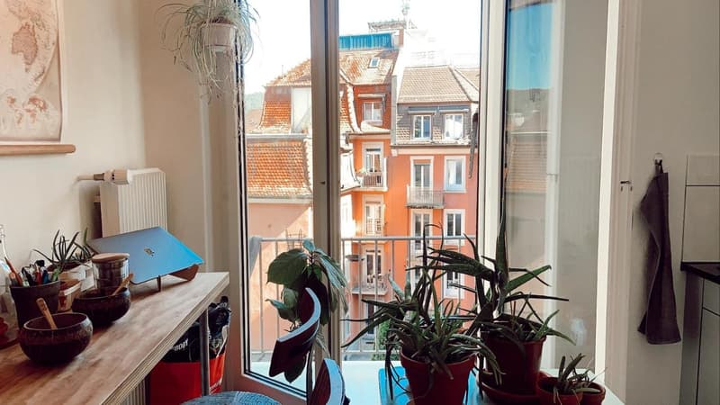 Temporary Charming 2.5-Room Apartment in Zurich Wipkingen  Until the End of December (5)