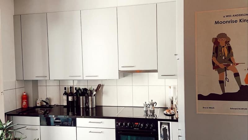 Temporary Charming 2.5-Room Apartment in Zurich Wipkingen  Until the End of December (3)