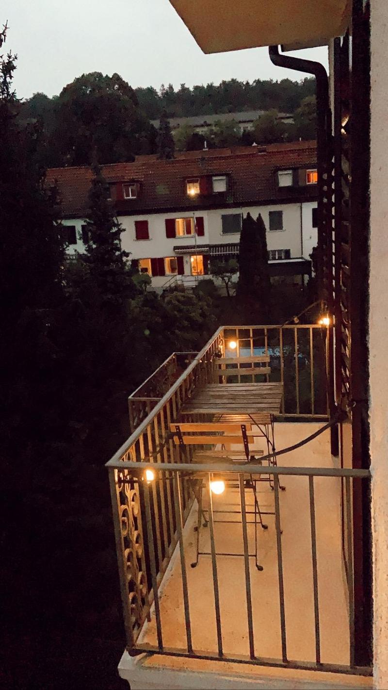 Temporary Charming 2.5-Room Apartment in Zurich Wipkingen  Until the End of December (6)