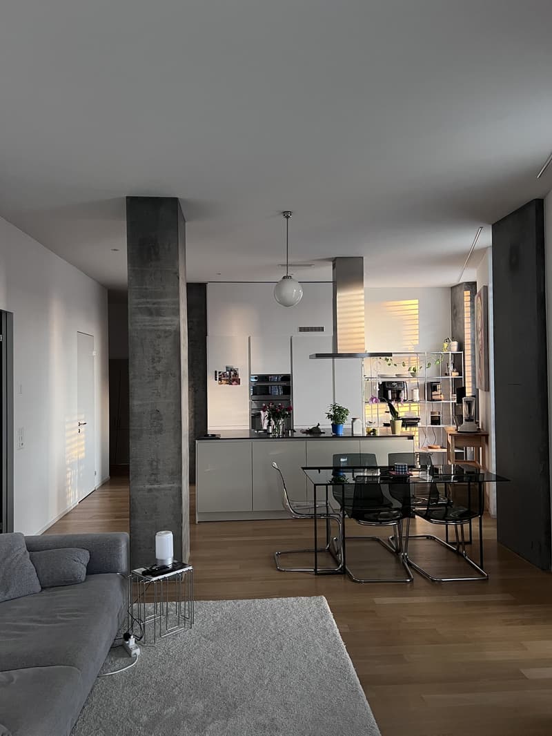 Exclusive Penthouse Room at Hardbrücke Business Living (MonFri) (1)
