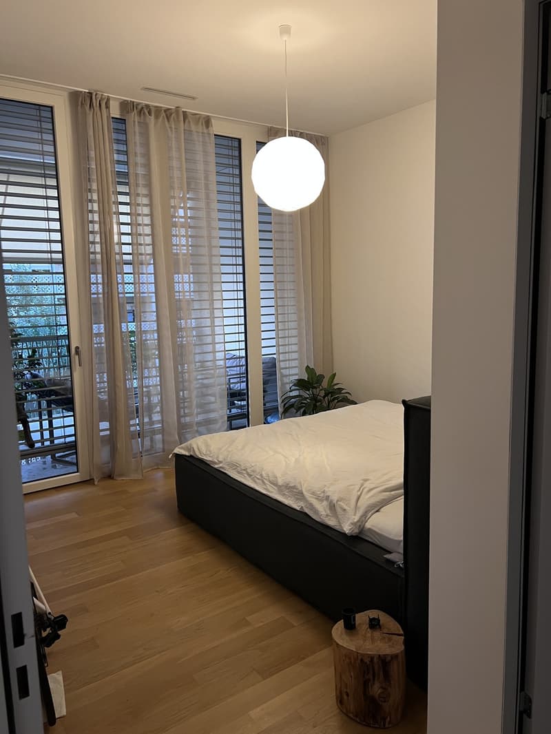 Exclusive Penthouse Room at Hardbrücke Business Living (MonFri) (2)