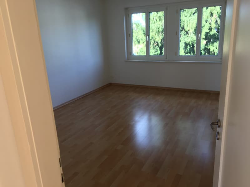 Schöne 3 Zimmerwohnung (4)