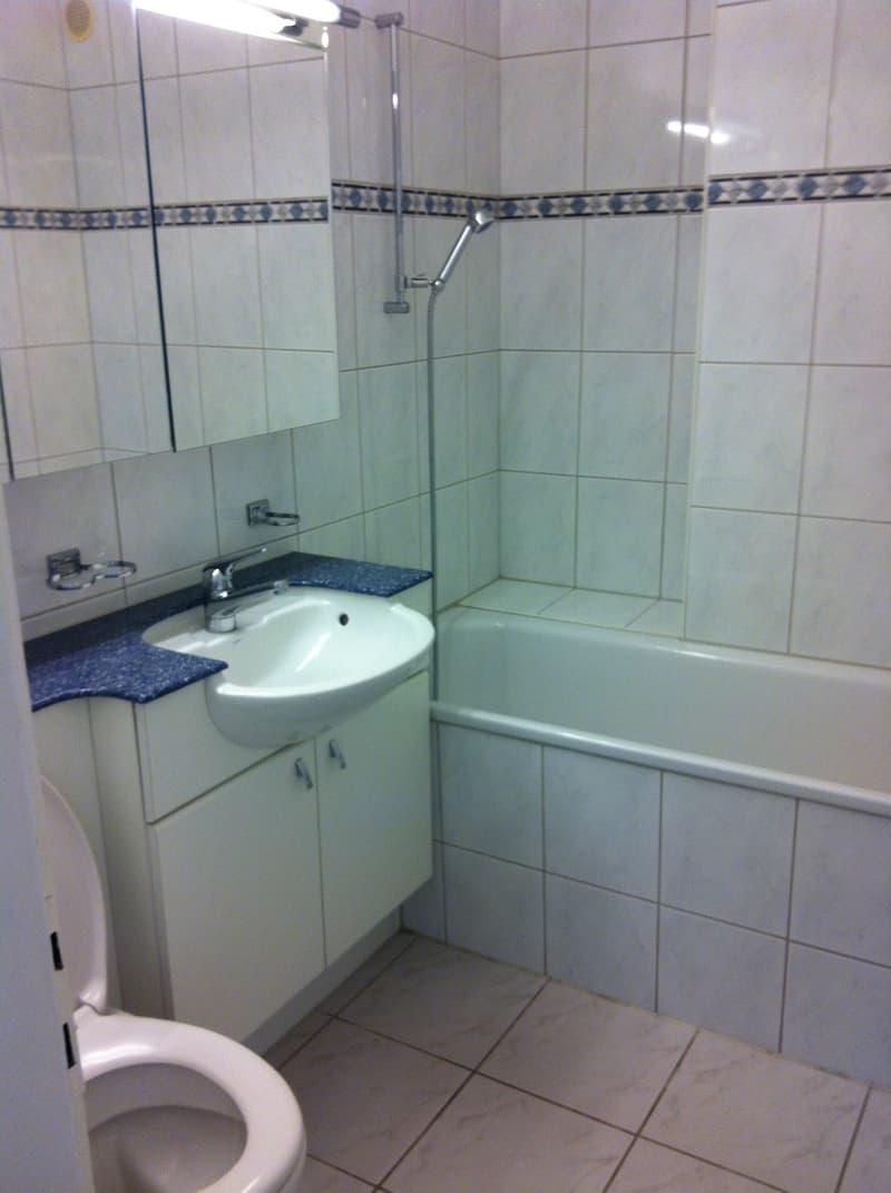 Schöne 3 Zimmerwohnung (3)