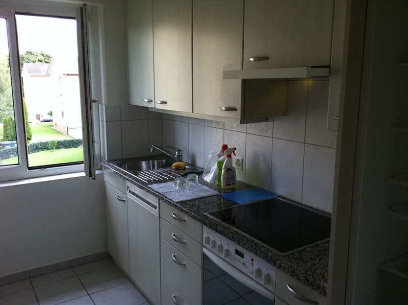Schöne 3 Zimmerwohnung (2)