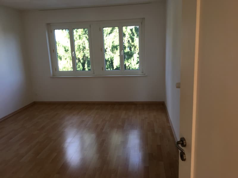 Schöne 3 Zimmerwohnung (5)