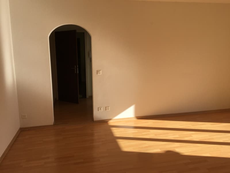 Schöne 3 Zimmerwohnung (6)