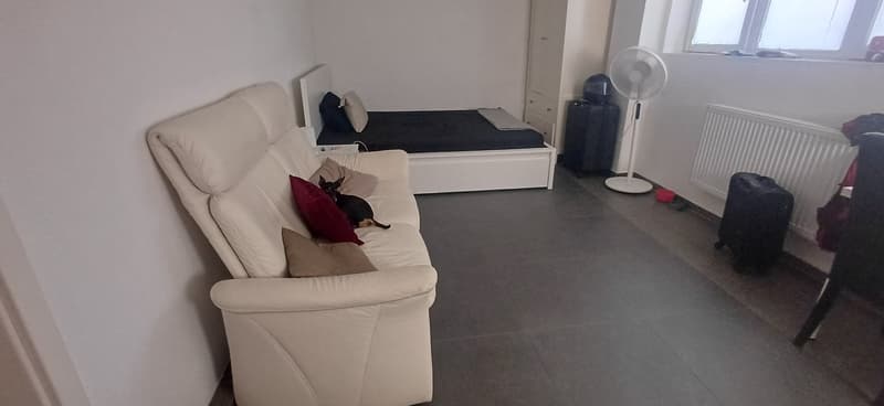 Wohnung Wohlen AG (5)