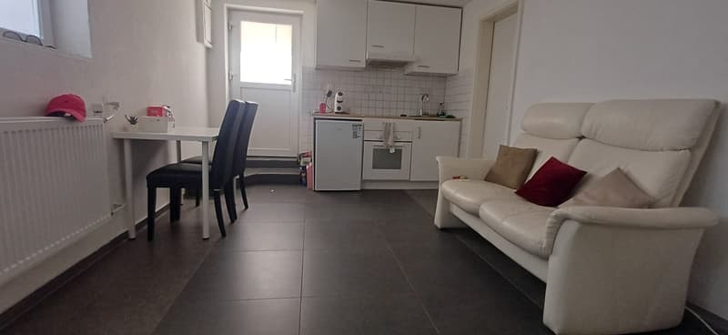 Wohnung Wohlen AG (1)