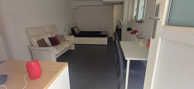 Wohnung Wohlen AG (2)