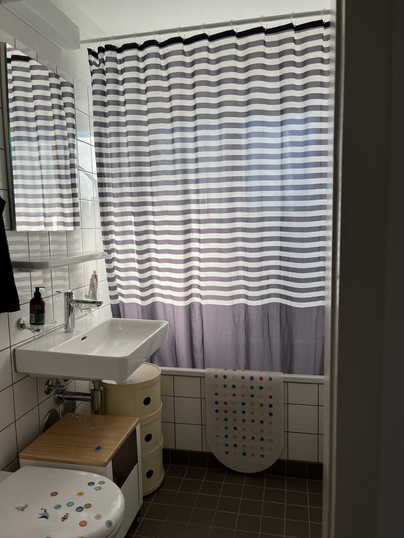 3-Zimmer Wohnung Zwischenmiete 8032 (9)