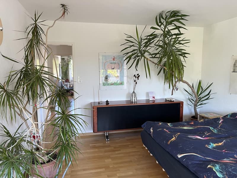 3-Zimmer Wohnung Zwischenmiete 8032 (6)