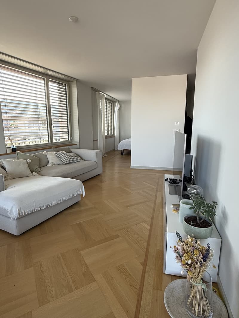 Möblierte Wohnung an Top-Lage in Zürich  befristet März bis Juni 2027 (3)