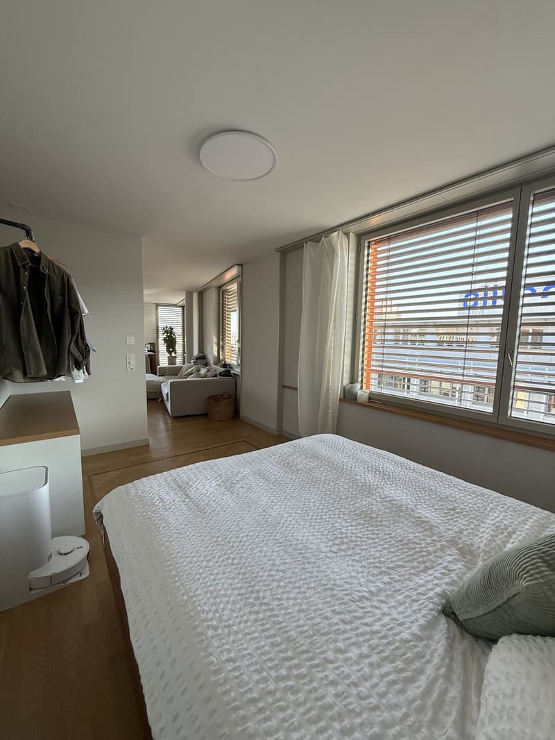 Möblierte Wohnung an Top-Lage in Zürich  befristet März bis Juni 2027 (2)
