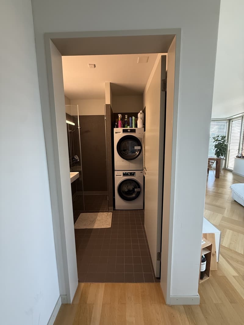 Möblierte Wohnung an Top-Lage in Zürich  befristet März bis Juni 2027 (7)
