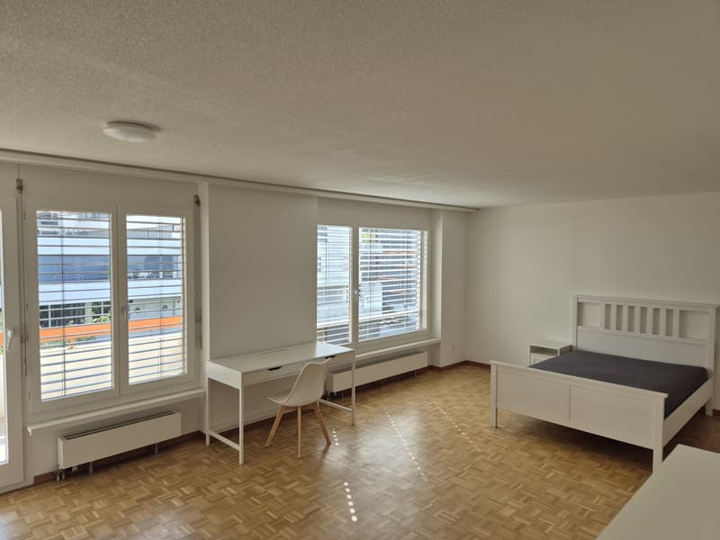 grossräumiges möbliertes Zimmer in Zürich-Altstetten (2)