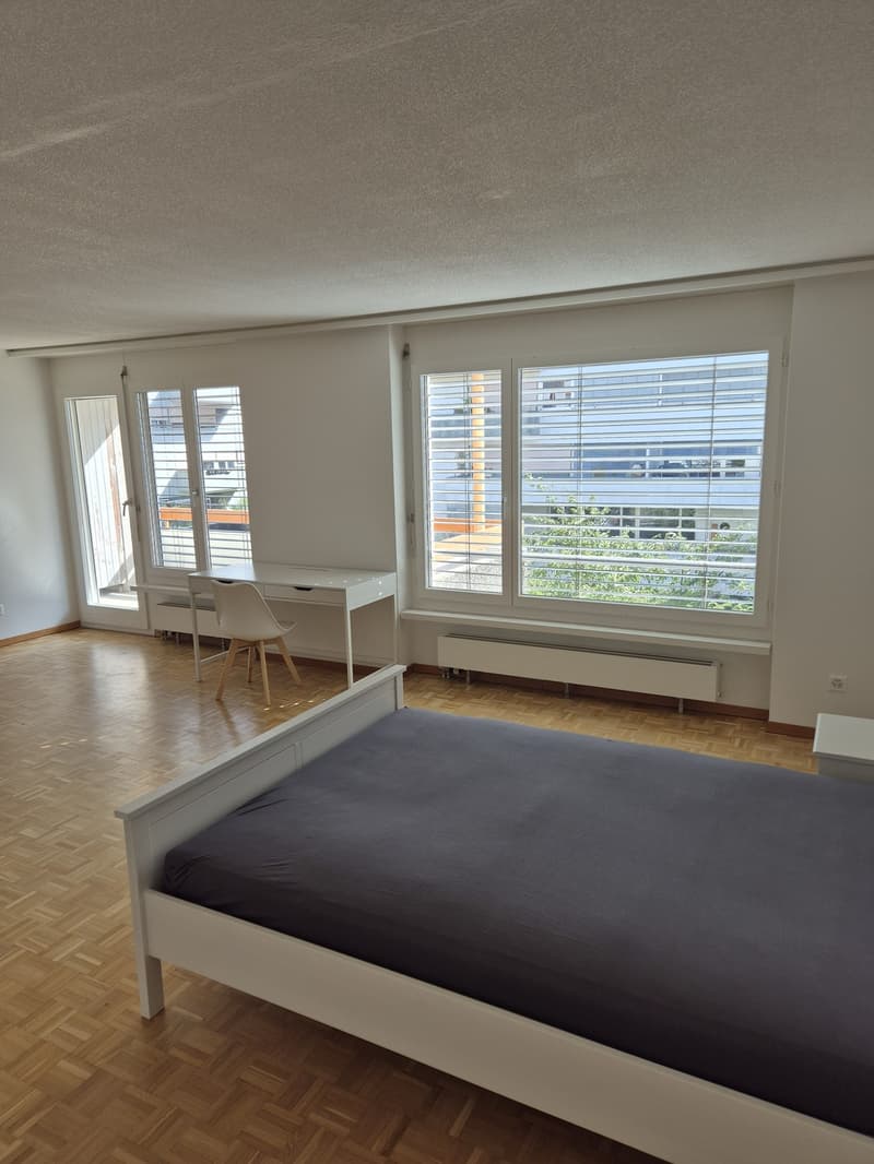 grossräumiges möbliertes Zimmer in Zürich-Altstetten (3)