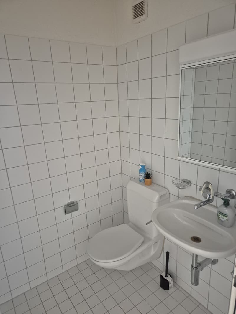 grossräumiges möbliertes Zimmer in Zürich-Altstetten (6)