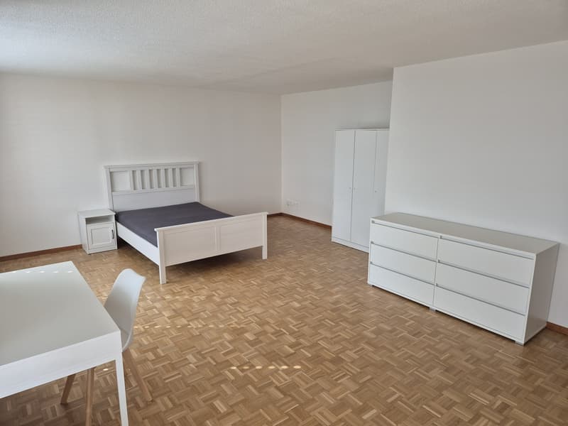 grossräumiges möbliertes Zimmer in Zürich-Altstetten (1)